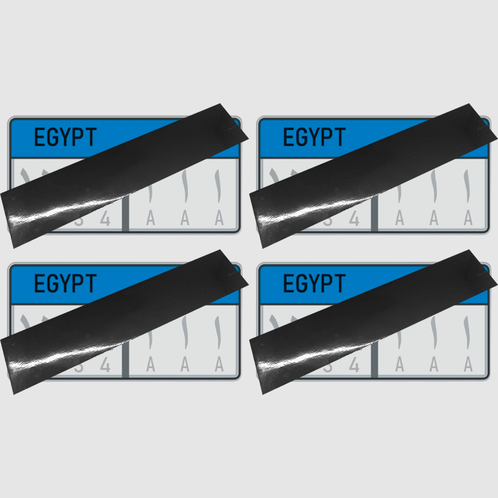 4 Registration (Egypt/ Egypt version) 