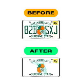 Sticker Letter L - Florida (2019 Version)