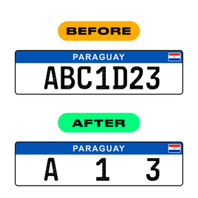 Nanofilm Ecoslick™ for paraguay license plates - Symbol "6" 